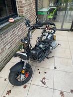 Benelli 49x, Scooter, Particulier, 11 kW of minder, 50 cc