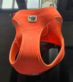 Hondentuigje maat large, Dieren en Toebehoren, Ophalen of Verzenden, Zo goed als nieuw