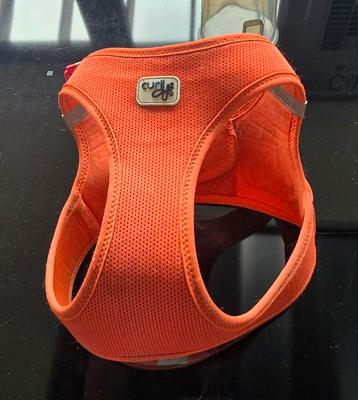 Hondentuigje maat large beschikbaar voor biedingen