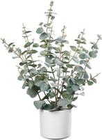 kunstmatige eucalyptus | 60cm | GRATIS LEVERING, Binnen, -, Verzenden, -