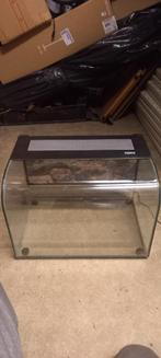 Habisphere terrarium met 2 ingebouwde led verlichting, Ophalen, Zo goed als nieuw