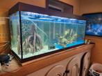 Aquarium juwel 450.l, Dieren en Toebehoren, Vissen | Aquaria en Toebehoren, Ophalen of Verzenden, Zo goed als nieuw