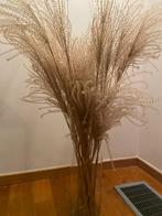 Decoratieve grassen / bundel boeket siergrassen, Enlèvement, Neuf