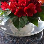 Grote platte vaas 35 cm diameter. 80ies vintage., Enlèvement ou Envoi