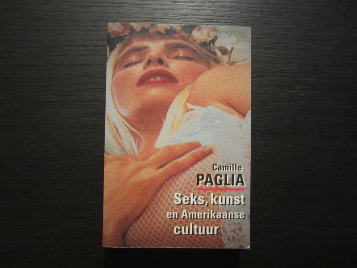 Seks, kunst en Amerikaanse cultuur  -Camille Paglia-, Boeken, Politiek en Maatschappij, Ophalen of Verzenden