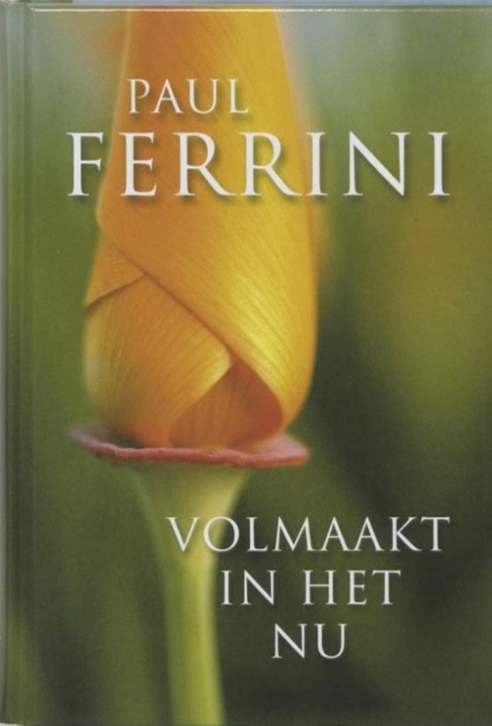 Volmaakt in het nu, Paul Ferrini, Boeken, Esoterie en Spiritualiteit, Zo goed als nieuw, Verzenden