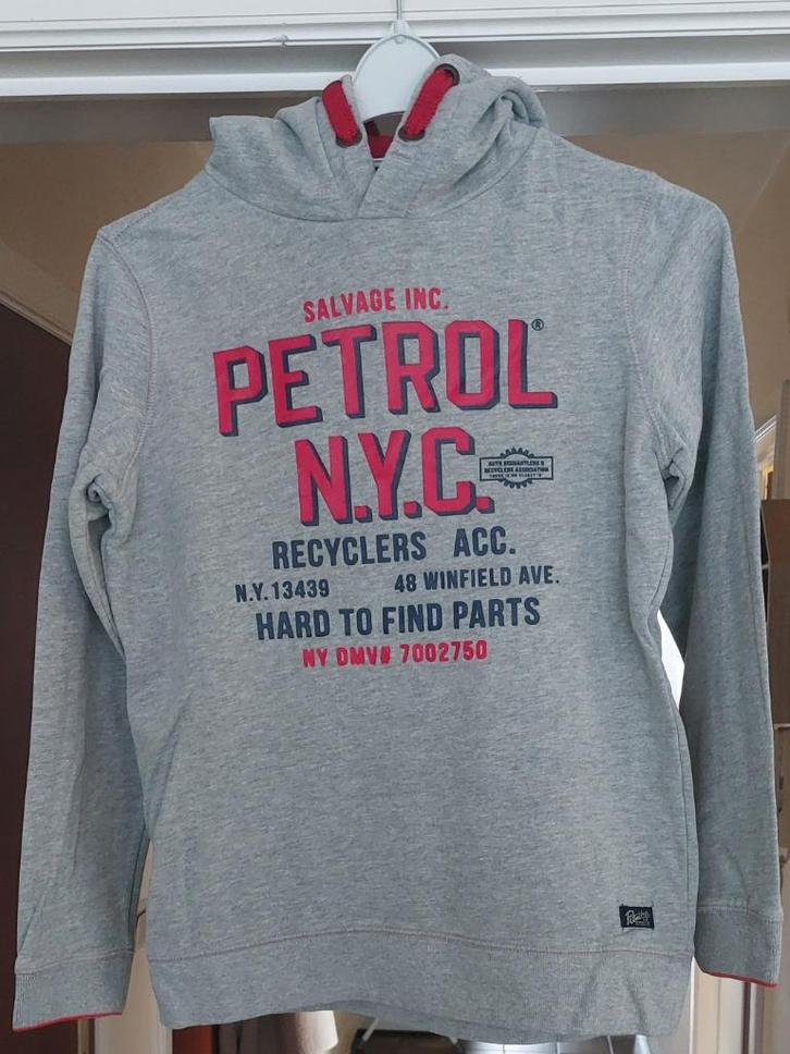 Hoodies voor jongens - Maat 164, Kinderen en Baby's, Kinderkleding | Maat 164, Gebruikt, Jongen, Overige typen, Ophalen of Verzenden