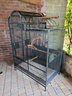 Grote kooi, Ophalen, Gebruikt, Metaal, Vogelkooi