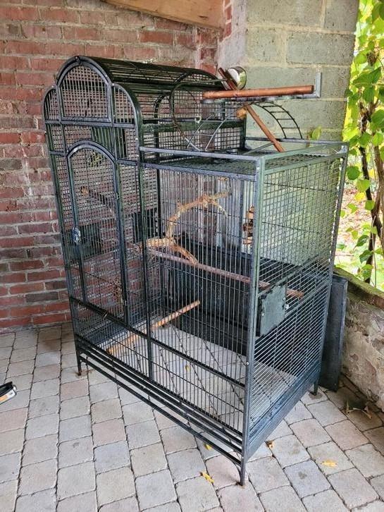 Grote kooi, Dieren en Toebehoren, Vogels | Hokken en Kooien, Gebruikt, Vogelkooi, Metaal, Ophalen