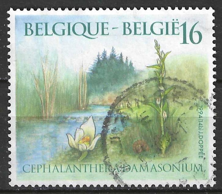 Belgie 1994 - Yvert/OBP 2573 - Natuur - Planten (ST), Postzegels en Munten, Postzegels | Europa | België, Gestempeld, Verzenden