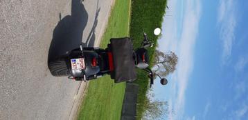 Electrische Chopper 45km, Fietsen en Brommers, Ophalen, Staal, Zo goed als nieuw, Smart Wheelz Mangosteen