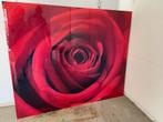 Roos op plexiglas van 150 cm op 125 cm, Ophalen