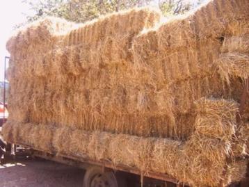 AFHALEN / LEVEREN / RESERVEREN / STOCKEREN van HOOI beschikbaar voor biedingen