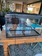 Aquarium, Dieren en Toebehoren, Vissen | Aquaria en Toebehoren, Ophalen, Gebruikt