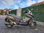 Mash Belena 300cc, Motoren, Scooter, 300 cc, Bedrijf, Minimaal motorrijbewijs A2