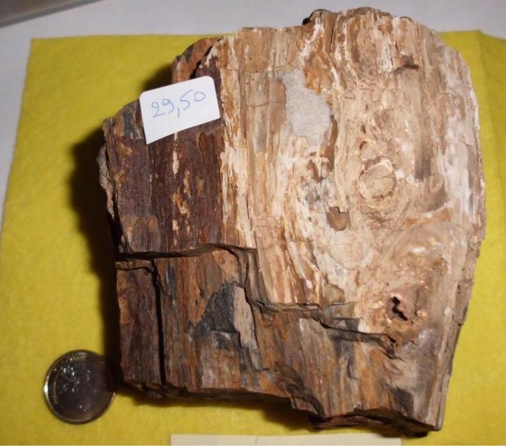 PRACHTIG STUK RUW VERSTEEND HOUT, Collections, Minéraux & Fossiles, Enlèvement ou Envoi