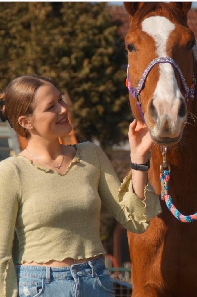 Paardrij- en grondwerk lessen, Dieren en Toebehoren, Paarden