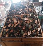 brandhout van perenbomen, Tuin en Terras, Ophalen