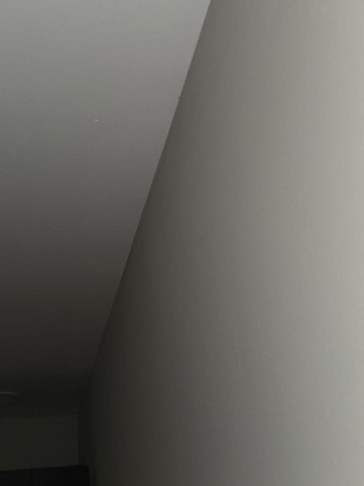 schilderen laminaat behangen, Hobby & Loisirs créatifs, Peinture, Neuf, Enlèvement