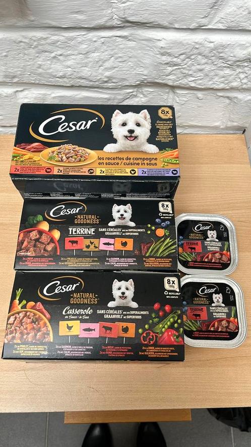 Cesar natte voeding, Dieren en Toebehoren, Dierenvoeding, Ophalen