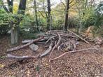 Boomstronken - lot 2, Tuin en Terras, Ophalen, Overige houtsoorten, Stammen