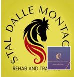 Training op maat van het paard. In rijden van jonge paarden, Animaux & Accessoires, Chevaux