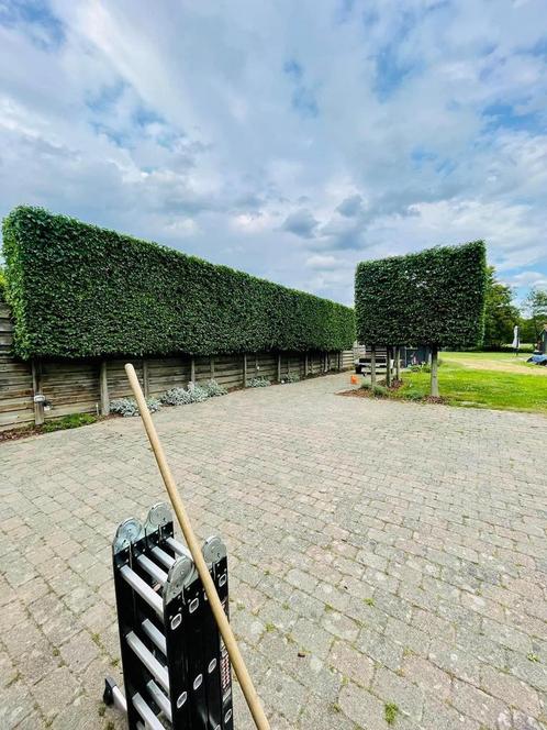 Création et entretien de jardin ️‍, Tuin en Terras, Gras en Kunstgras, Ophalen of Verzenden