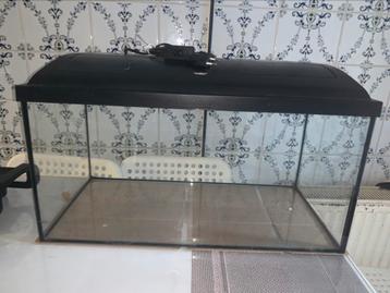Prachtige aquarium met verlichting werkt perfect beschikbaar voor biedingen