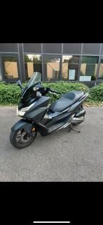 Honda Forza 125 2017 à Arlon, Particulier, Scooter, ABS