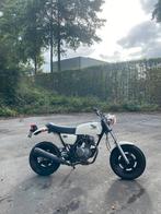 Honda ape 50 origineel collecters item, Fietsen en Brommers, Brommers | Honda, Ophalen, Overige modellen, Nieuw, Klasse B (45 km/u)