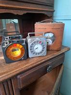 Constateurs 4 stuks, Dieren en Toebehoren, Vogels | Duiven