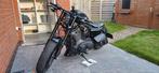 Sportster XL 1200 Roadster, Motoren, Motoren | Harley-Davidson, 2 cilinders, Particulier, Meer dan 35 kW, Overig