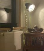 Industriele vloerlamp old look, Huis en Inrichting, Lampen | Vloerlampen, Ophalen