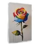 Kleurrijke roos met schaduw Glasschilderij 100x150cm + Ophan, Huis en Inrichting, Woonaccessoires | Wanddecoraties, Nieuw, Verzenden