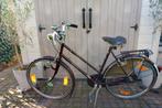 Damesfiets Raleigh in prima staat te Leuven, Fietsen en Brommers, 51 tot 55 cm, Ophalen