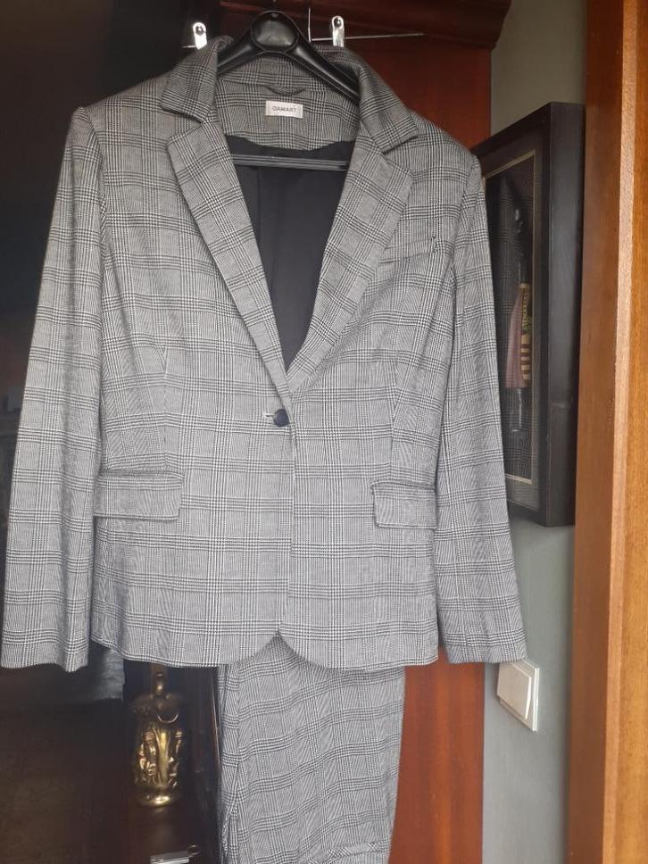 kostuum/broekpak, Kleding | Dames, Jasjes, Kostuums en Pakken, Nieuw, Kostuum of Pak, Maat 42/44 (L), Grijs, Verzenden