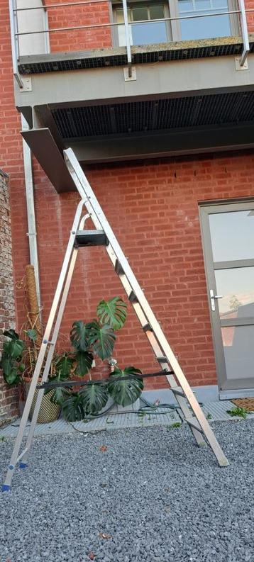 Ladder - 6 trappen (L = 2,20m) beschikbaar voor biedingen