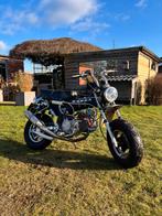 Moteur Dax 140 cc, Motos, Permis Moto A1 minimum, Particulier, Éclairage LED, 1 cylindre