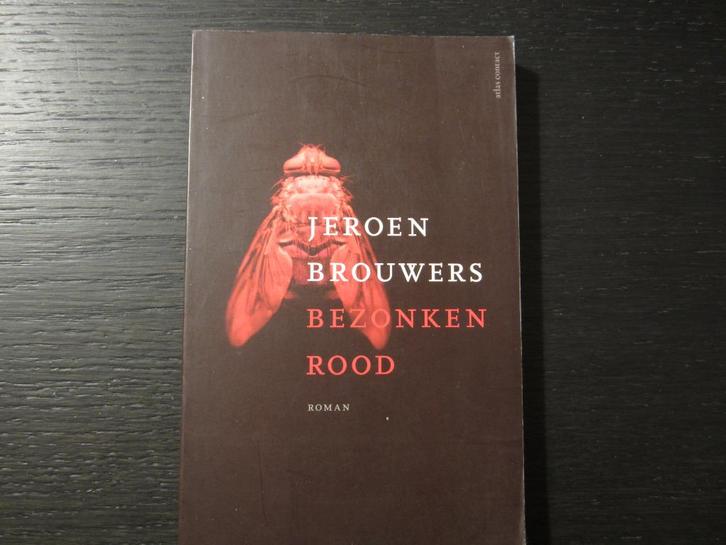 Bezonken rood  -Jeroen Brouwers-, Boeken, Literatuur, Nederland, Ophalen of Verzenden