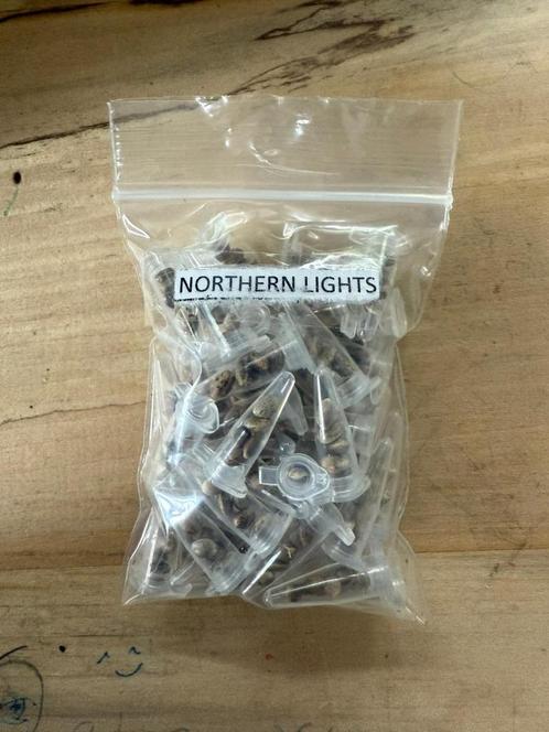 Graines féminisées Northern Lights, Tuin en Terras, Bloembollen en Zaden, Zaad, Gehele jaar, Volle zon, Verzenden