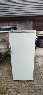 Diepvries Siemens staand model, Ophalen, Gebruikt, 200 liter of meer, 60 cm of meer