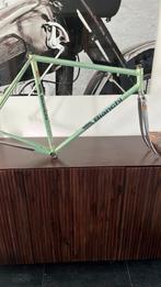 Bianchi Specialissima X4 frameset !, Fietsen en Brommers, Fietsonderdelen, Ophalen