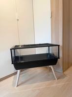 Zolux Knaagdierkooi - Nevo Prestige plexiglas in zwart, Ophalen, Kooi, Gebruikt, 60 tot 90 cm