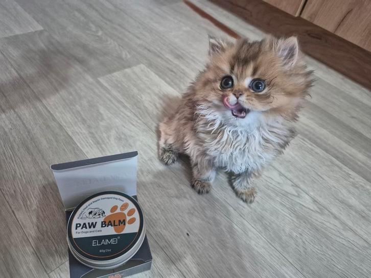 Kat producten, Dieren en Toebehoren, Katten-accessoires, Ophalen of Verzenden