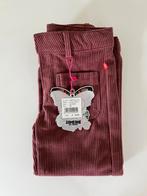 Ribfluweel broek - meisje - Someone, Kinderen en Baby's, Kinderkleding | Maat 98, Meisje, Nieuw, Someone, Ophalen