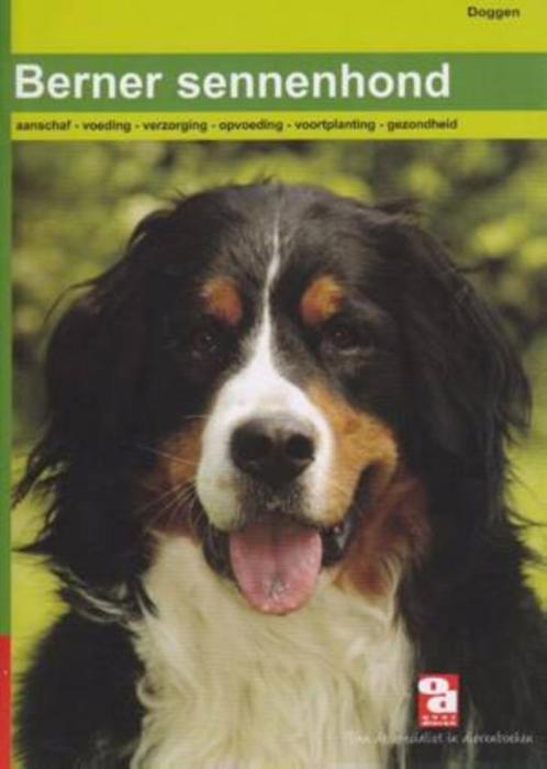 Berner Sennenhond Over Dieren  64 blz, Boeken, Dieren en Huisdieren, Zo goed als nieuw, Ophalen of Verzenden