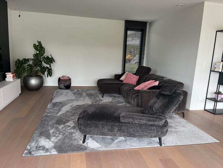 Splinternieuw tapijt van CHARRELL 3mx4m Grijs, Huis en Inrichting, Woonaccessoires | Overige, Nieuw, Ophalen