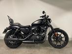 Harley-Davidson SPORTSTER XL883N IRON, Motos, Motos | Harley-Davidson, Chopper, Entreprise
