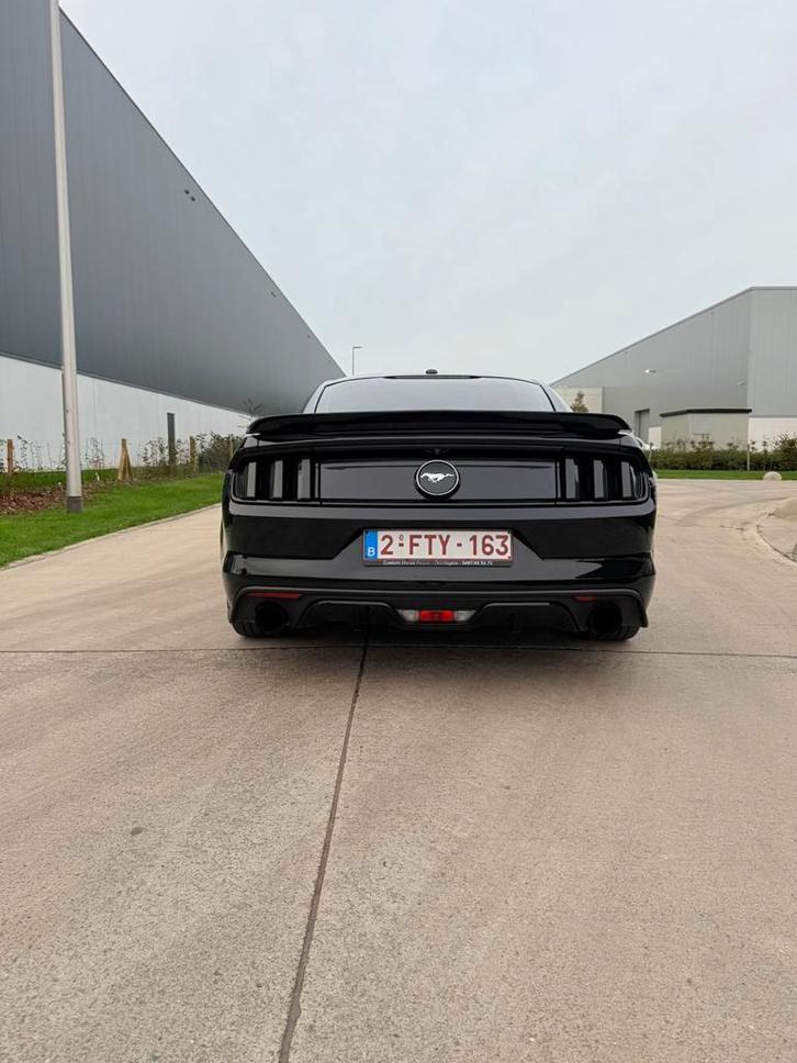 Ford Mustang 2.3 ecobost, Auto's, Ford, Bedrijf, Mustang, 360° camera, ABS, Achteruitrijcamera, Adaptieve lichten, Adaptive Cruise Control
