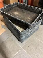 Zaaibak stekbak in groot formaat 56,5 x 42 cm, Tuin en Terras, Kunststof, Gebruikt, 40 cm of meer, Minder dan 40 cm